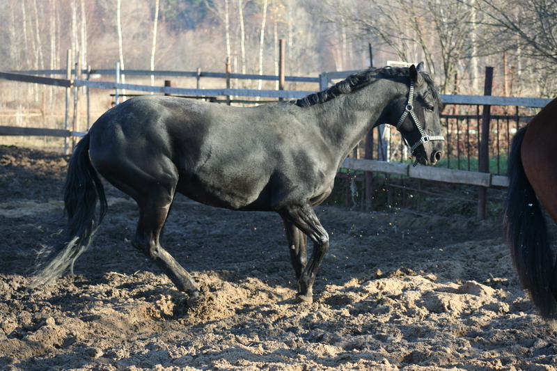 IMG_1288.jpg1.jpg"%20height="533"%20width="800